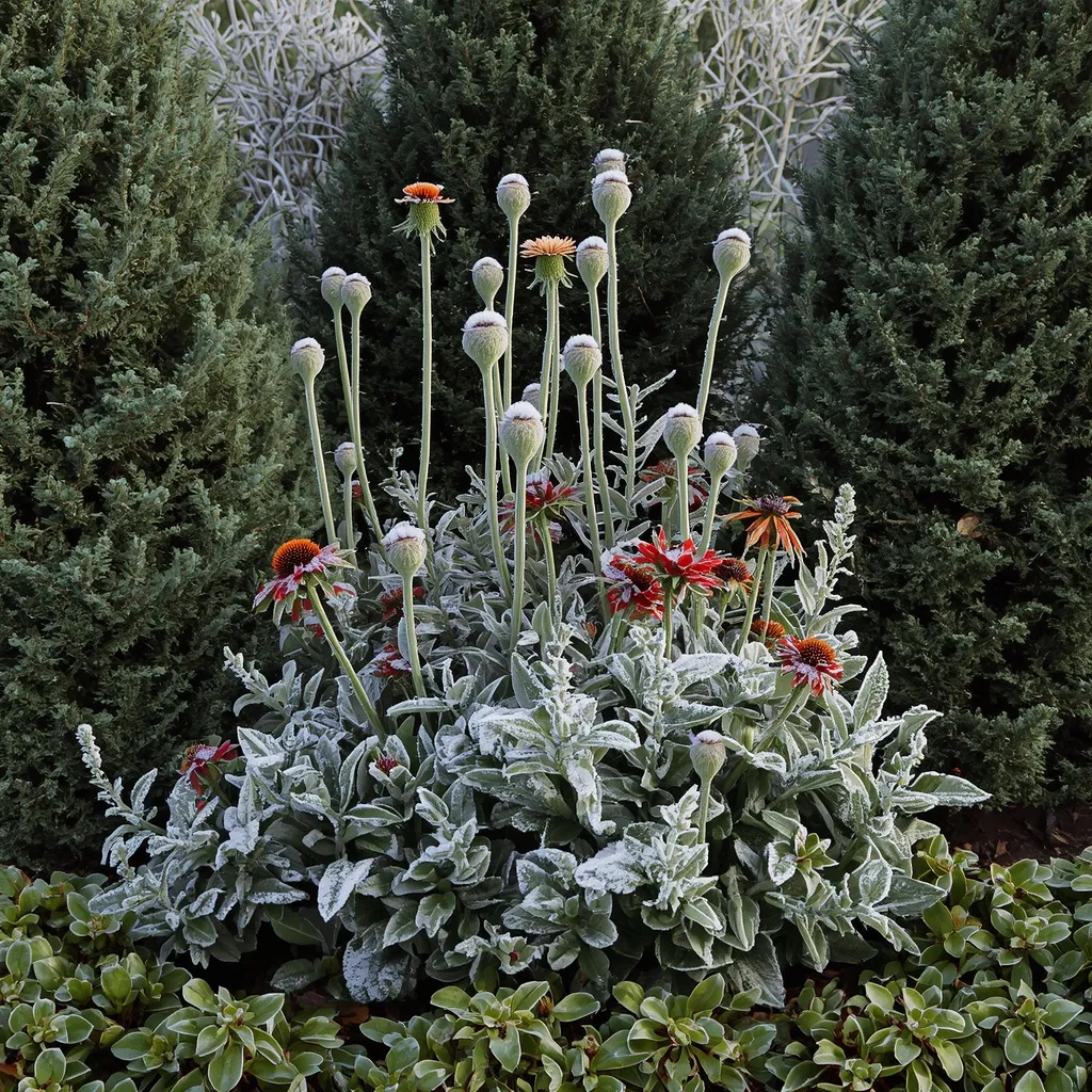 Four season flower bed in winter