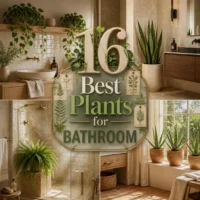 16 Best Plants for Bathroom Ideas That Thrive